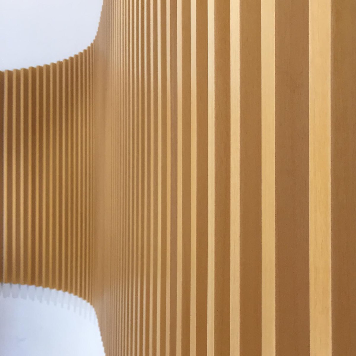 Patterns of Life NFT tweet media