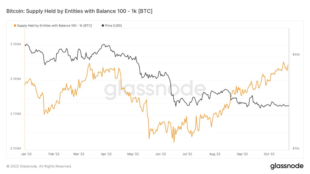 fredincrypto's tweet photo. Bitcoin balinaların cüzdanlarında düşüş yaşanırken, küçük bitcoin balıkları cüzdanları artışı yaşanıyor. Veriye göre azalan balina popülasyonuna bağlı aşağı yönlü risk daha fazla. 📉 https://t.co/IXYzLZDwni