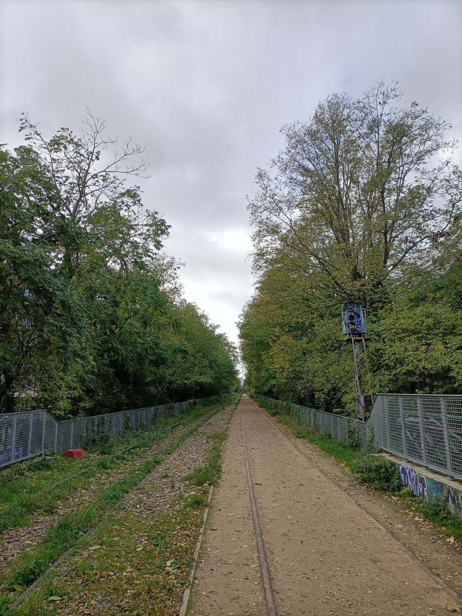 Céline Moussy tweet media