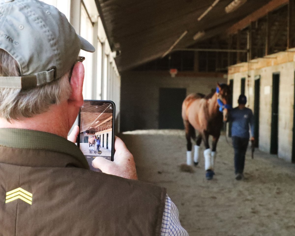 WHR's tweet image. .@keeneland looks good on you, FLIGHTLINE... 🍁

The planet's best horse has arrived for his @BreedersCup tilt 🙌

📸: @CoadyPhoto

#BC22
