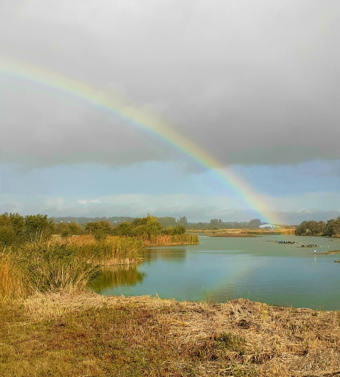 Castle Water between showers: 1 Spoonbill, 4 Greenshank, 14 Pintail, 135 Gadwall, 150 Teal, 85 Shoveler, 45 Wigeon, 375 Lapwing, then hot-footed over to see the Red-necked Phalarope @ryeharbour_NR