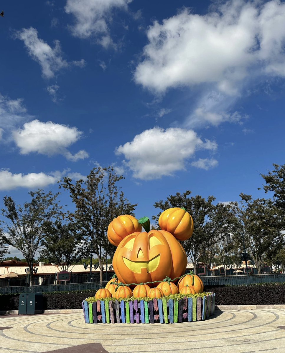 Good 🎃 Morning #Halloween2022 #Halloween #ShanghaiDisneyland  #SHDL #上海ディズニーランド #ディズニーランド  #上海ディズニーリゾート #Disney #Disneypark #Disneyland #Duffy #ダッフィー #シェリーメイ
