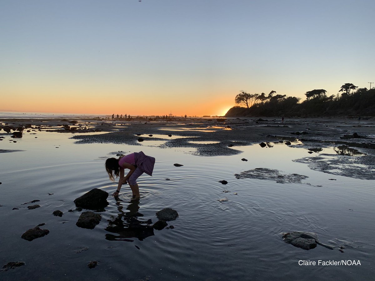 Statement from NOAA Administrator Dr. Rick Spinrad on the 50th anniversary of the MMPA, NMSA and CZMA acts See: noaa.gov/news-release/s… @sanctuaries @noaafisheries @noaaocean #ocean #conservation