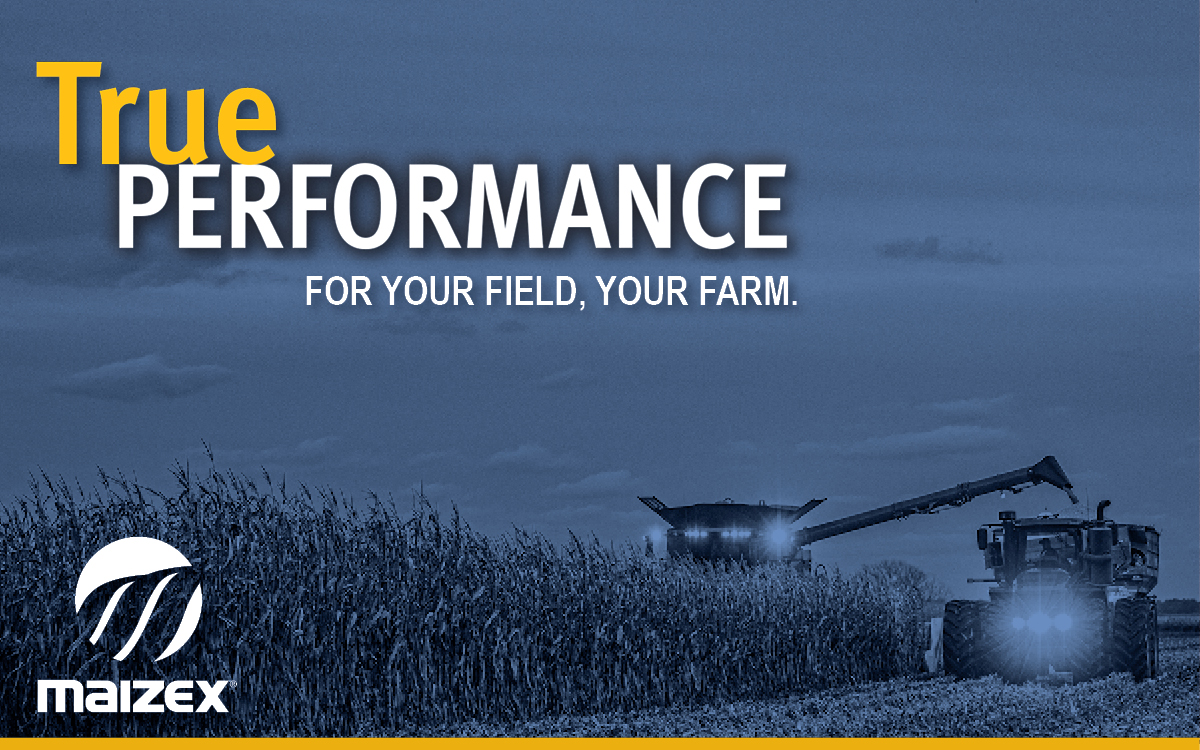 Maizex Seeds tweet media