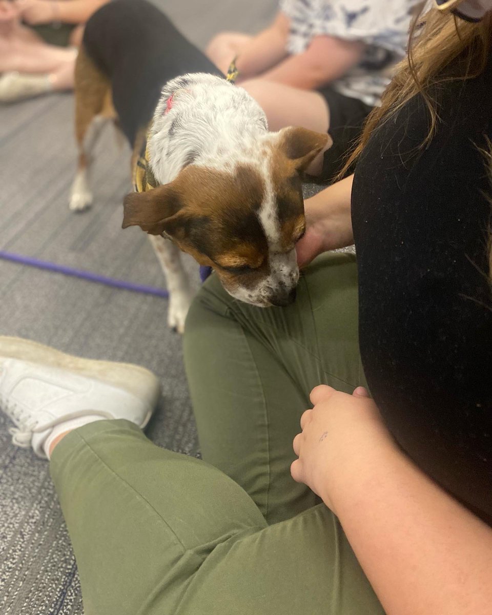 Center for Women and Gender Equity @ UTC tweet media