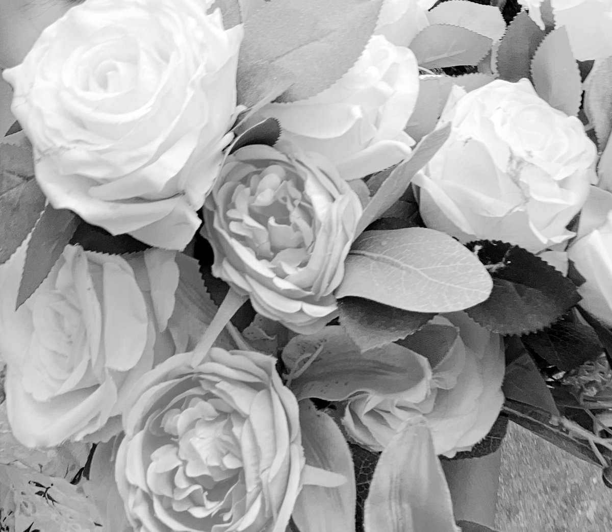 冯 (@onxzze) on Twitter photo 