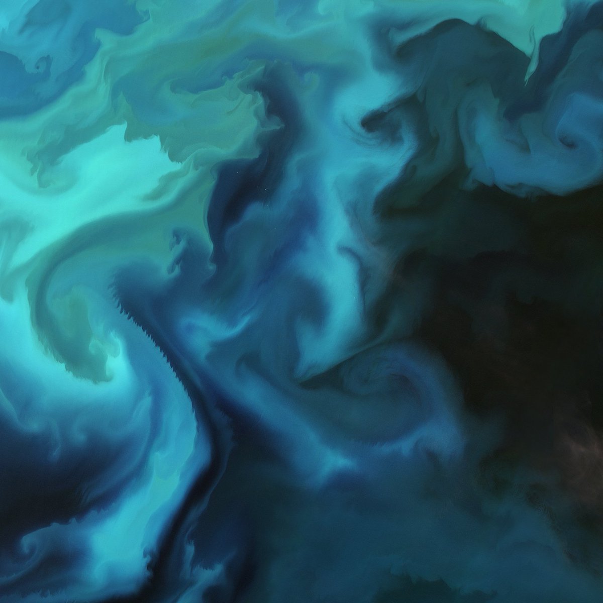 ESA_de's tweet photo. Dieses unbearbeitete Bild von dem #CopernicusEU #Sentinel2A Satelliten 🛰️ sieht wie eine Aquarellmalerei der Erde aus! 🎨
Es zeigt eine Planktonblüte in der Barentssee. 🌊
Erfahrt mehr über die Rolle des Planktons und ladet das Bild herunter. 🖼 https://t.co/hEFTcNDcxs https://t.co/Jl8lRWJBjM