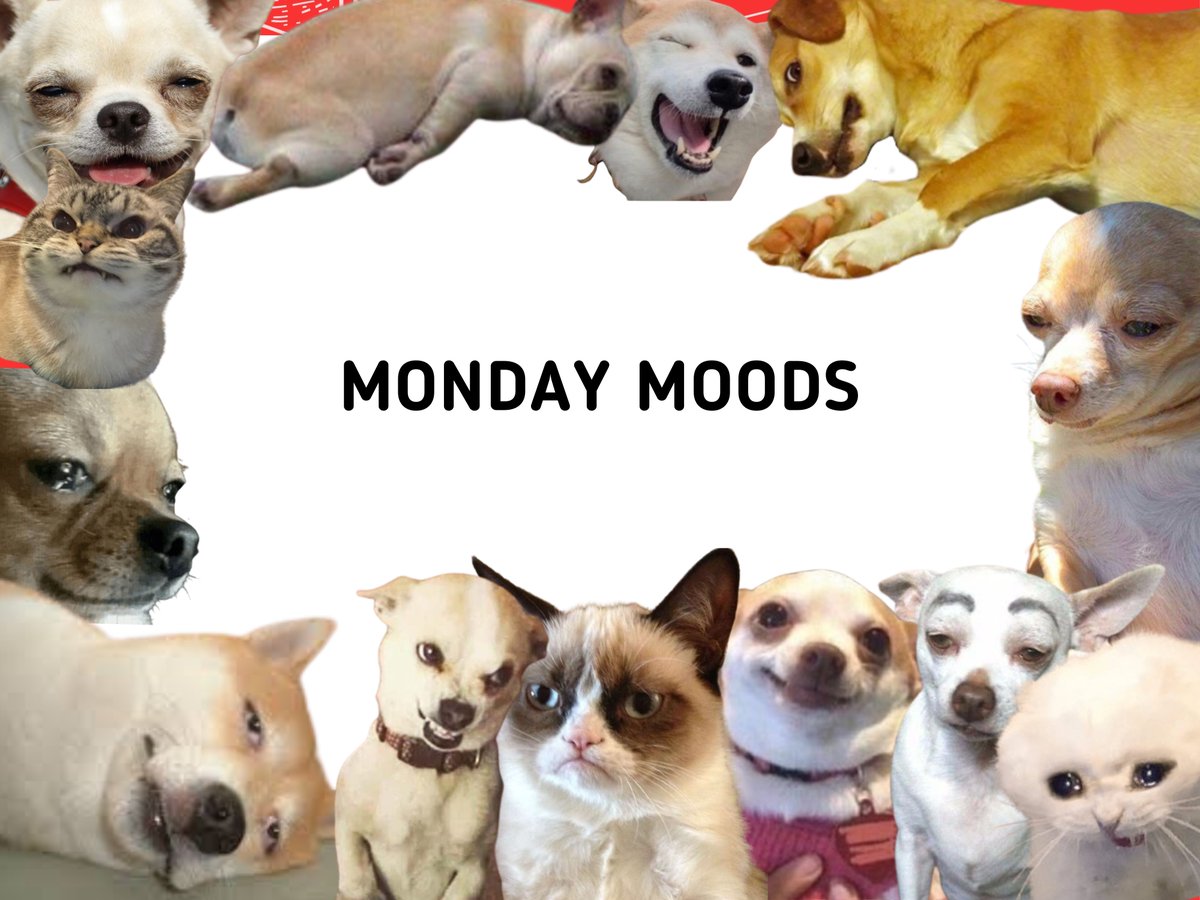 It's another week and it's another Monday! 🌞

Kamusta ang Lunes ninyo? 😆

#AspinUniversity #ASUstudentlife