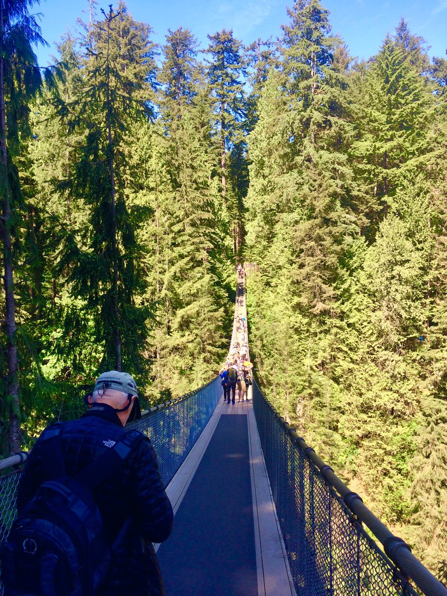 misskd94's tweet photo. Capliano Bridge, Vancouver โฆ.I wish I had my Leaf ID checklist with me ๐ต๐ผโฆ This was such a fun activity exploring Edge Hillโs campus back in September #pgce #eyfs #pinefresh https://t.co/2K3xAL2Jac