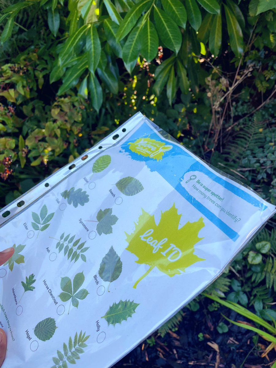 misskd94's tweet photo. Capliano Bridge, Vancouver โฆ.I wish I had my Leaf ID checklist with me ๐ต๐ผโฆ This was such a fun activity exploring Edge Hillโs campus back in September #pgce #eyfs #pinefresh https://t.co/2K3xAL2Jac