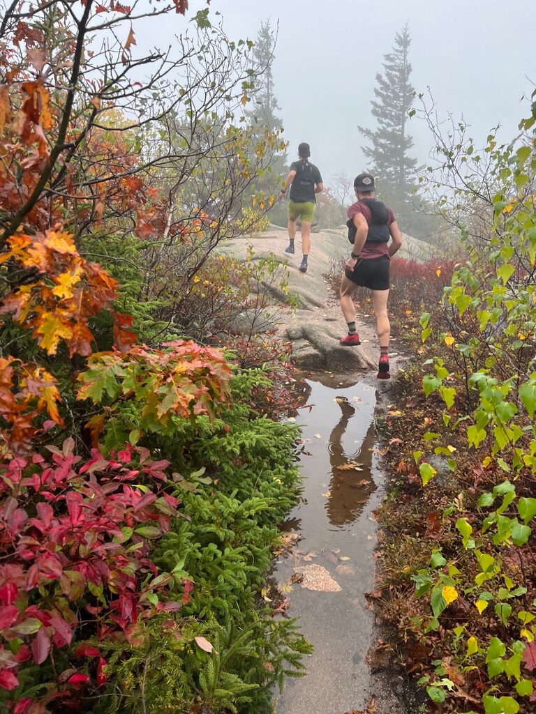 FastestKnown's tweet image. Create your own FKT!! mailchi.mp/fastestknownti…