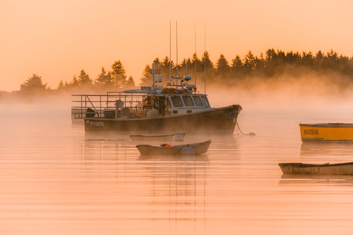 A peaceful Maine moment to start your day. Sincerely, your friends at Allagash