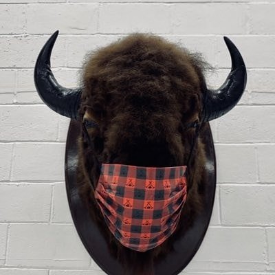 Paul Adams tweet media