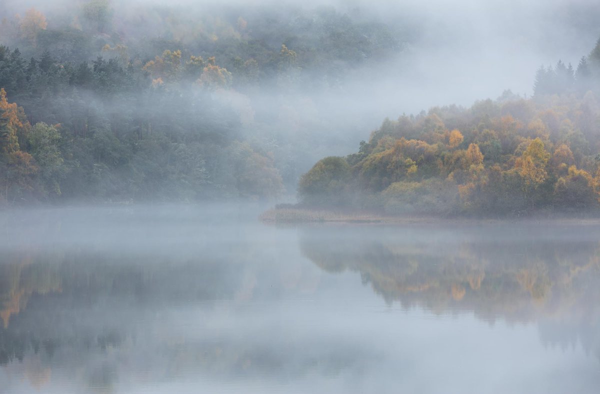 Loch Faskally at its finest.
#WexMondays