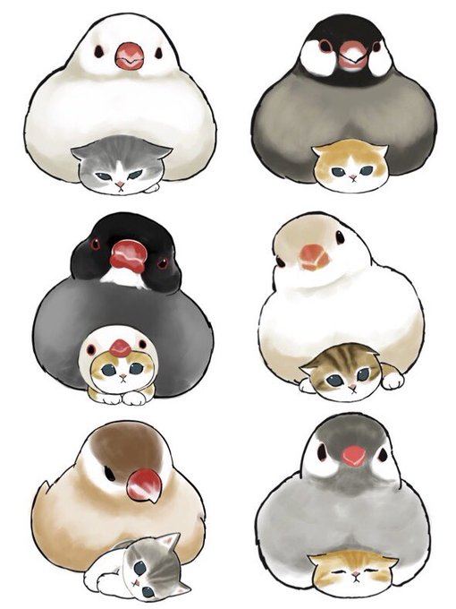 「cat」 illustration images(Popular)｜21pages