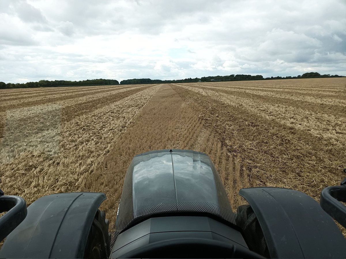 SoilEssentials's tweet photo. We're impressed with the stripes too! Get perfect precision in your farming operations, and higher accuracy like this customer, call 01356 650459 to get connected to our EssentialsNetRTK correction network, with #UKcoverage - no delay, no drift, no doubt.
#farmingsmarter #RTK https://t.co/jLjHHjbeAY