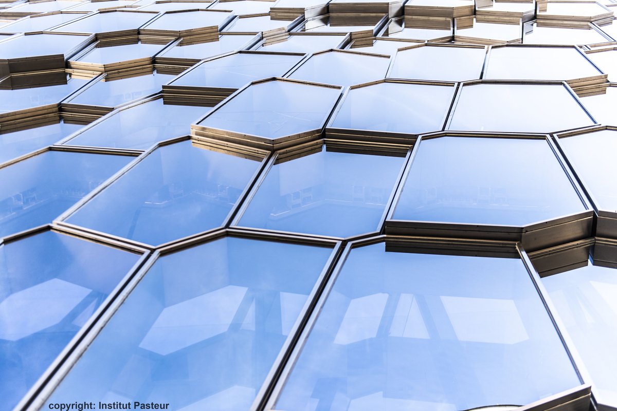 PCACLab's tweet image. Our PCAC team is recruiting a PhD and a research engineer/post doc in auditory neuroscience ! More details here: institut-audition.fr/fr/articles/re…