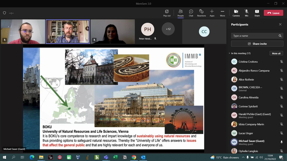 MemTrain tweet media