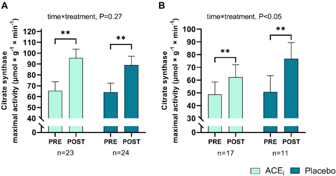 Robust arm and leg muscle adaptation to training despite ACE inhibition. Sjúrðarson & M Mohr et al @NEXSKU @UniSouthDenmark @Rigshospitalet #angiogenesis #angiotensin #oxidative #hiit rdcu.be/cX9tF