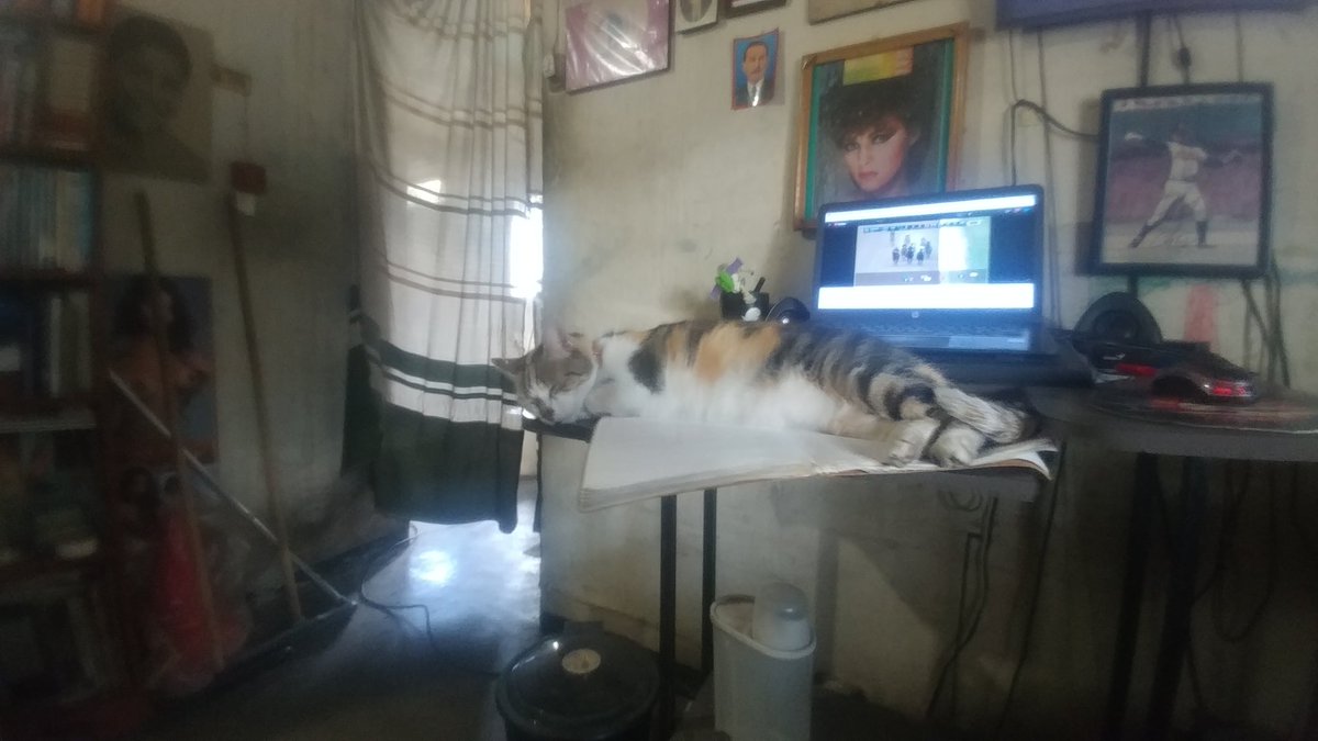 johnemunoz's tweet photo. @DrOttoTV buenos días doctor y perdone el abuso, tengo una fatiga que llegó x los techos a casa hace 8 meses y se quedó en casa, tiene días vomitando la gatarina y no se que hacer ya que x falta de recursos no puedo llevarla a un vet y yo con problemas motores https://t.co/oQoHmp0BMI
