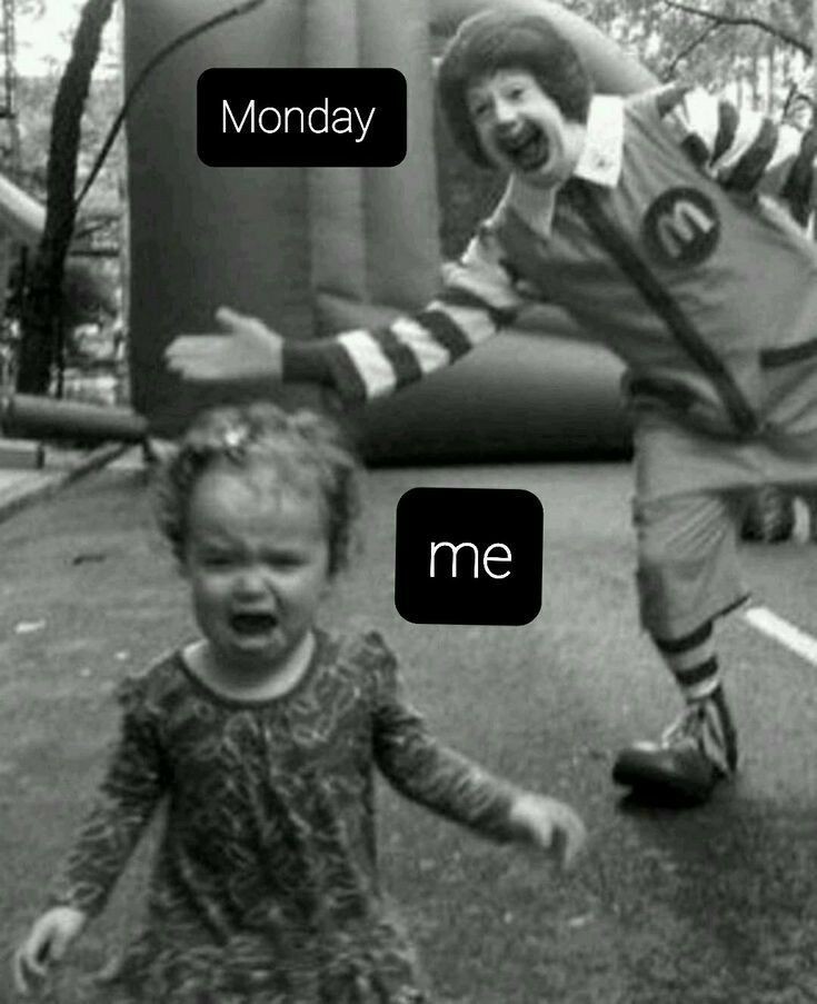 Rbhilliardb's tweet photo. With a gif show me your monday!
#manicmonday #mondaymadness #rbhilliard #rbhilliardbooks #authorlife https://t.co/AWPzxWYoJF