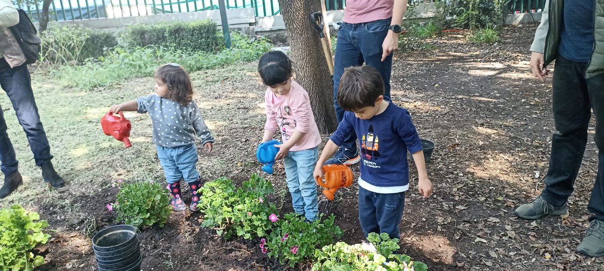 Participacion_M's tweet photo. Reverdece junto a la mano de los vecinos y los niños en el Parque Lincoln, Colonia Polanco #participacionmh #MH #SomosMH #participamh https://t.co/S79kT0PRZG