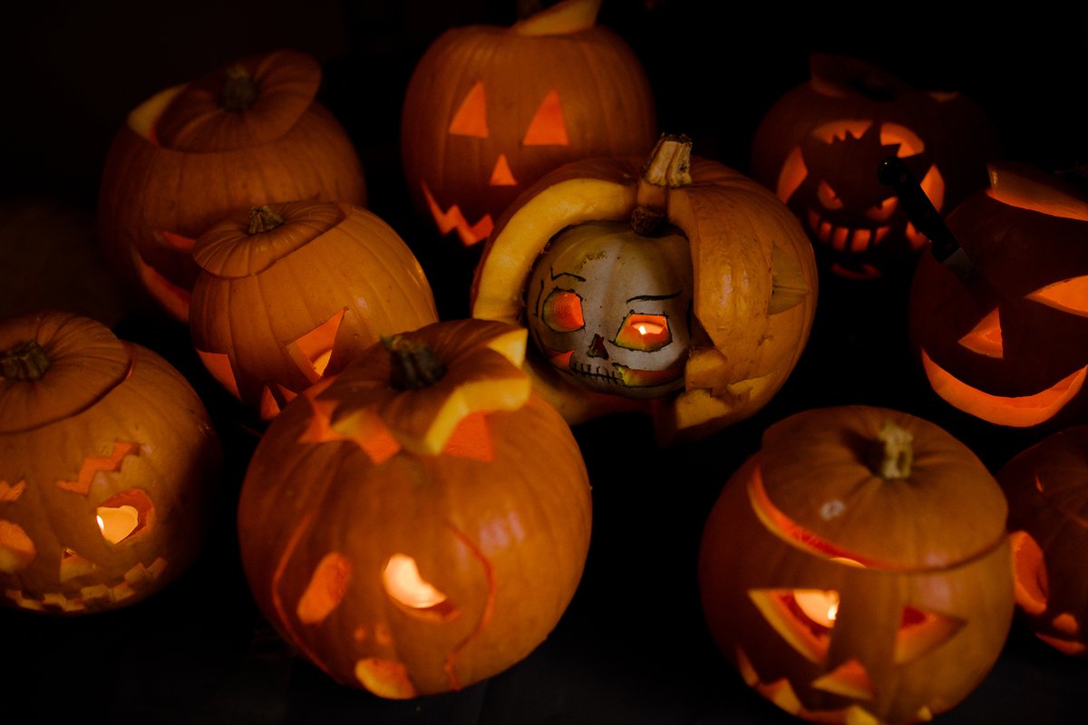 liddellmark's tweet photo. Here for a gourd time, not a long time.🎃 #halloween https://t.co/zQMCp51vUe