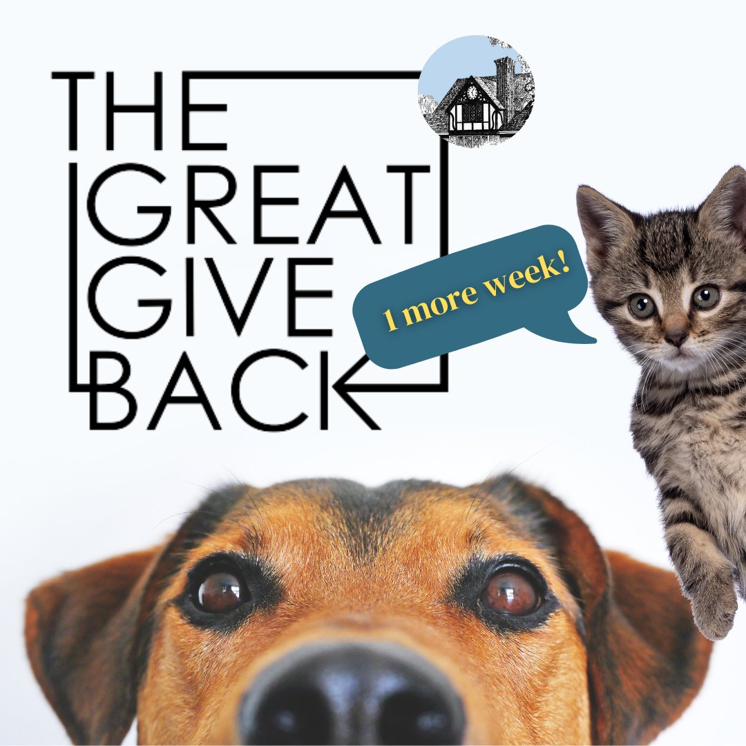 Escml's tweet photo. 1️⃣ more week for our Pet Supplies Drive, which runs through the end of this month. 🐾
#GreatGiveBack2022 #LibrariesGiveBack #EmmaCares https://t.co/LkOUP59QUz