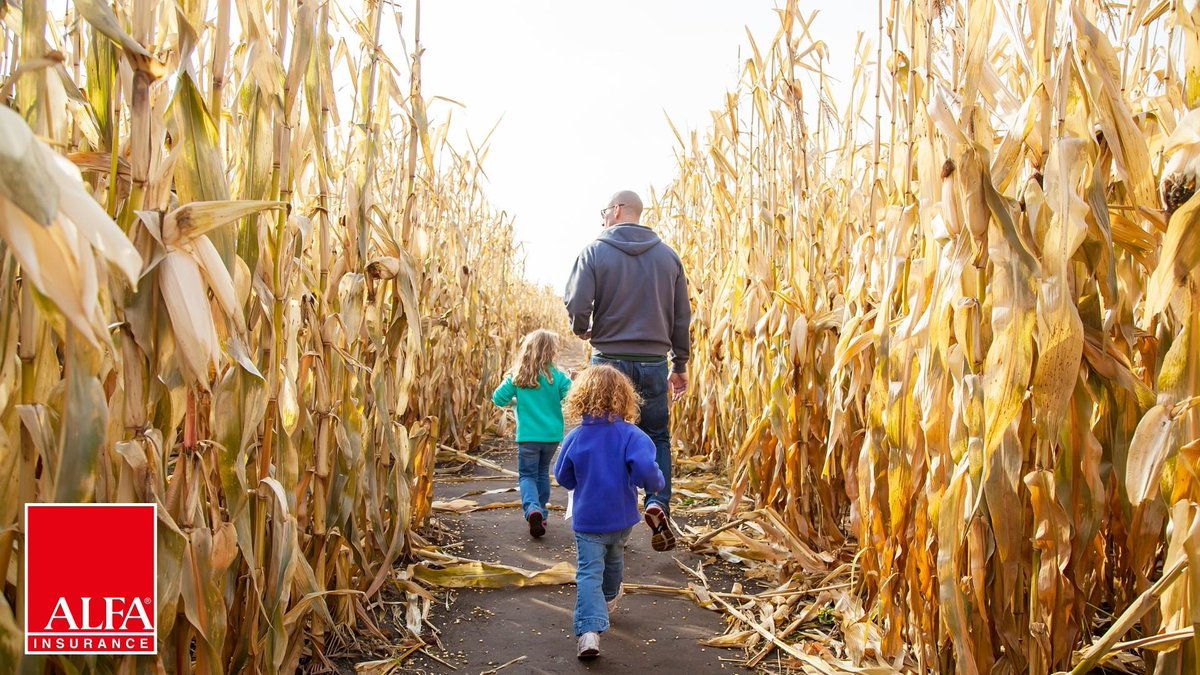 benfranklin4rel's tweet photo. Did someone say Bucket List!?
Check out this fun Fall Bucket List of things to do! Which will you do first? https://t.co/s13qAJvQYy 🍂 https://t.co/zcy4F1arfb