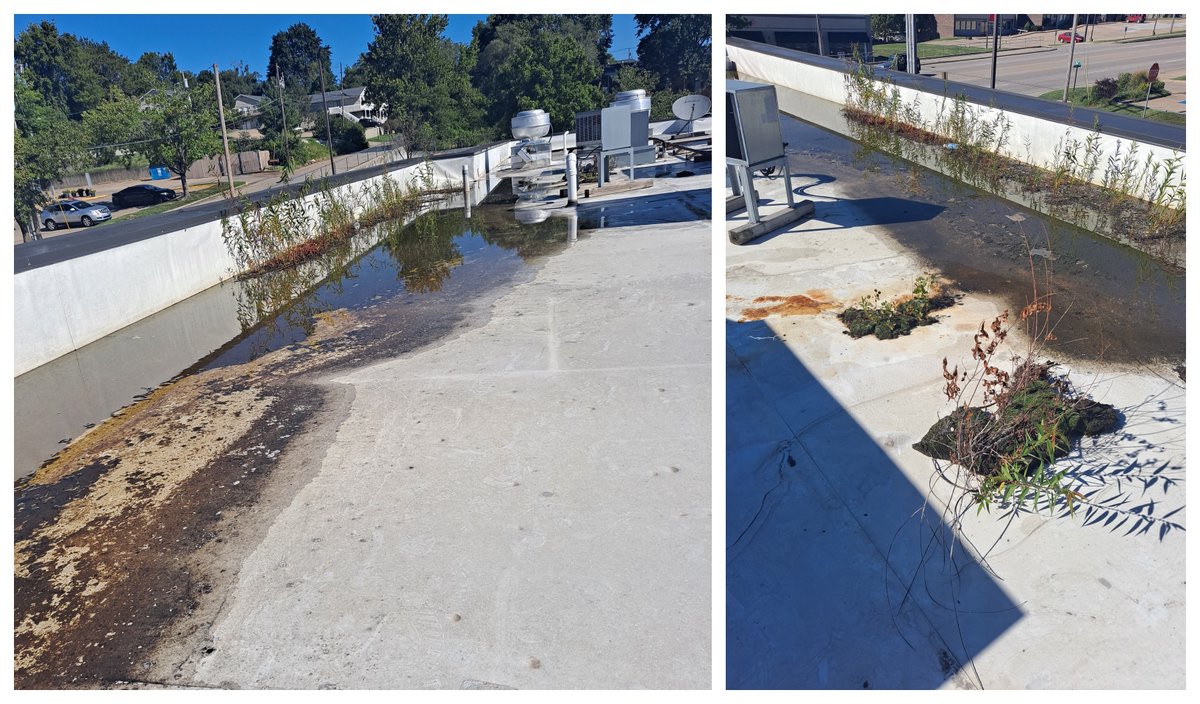 ASRMOLLC's tweet image. Plants GROWING on your roof?!
Without proper maintenance on your roof, seeds take root in the pile of leaves and dirt.
Call today to schedule a fall maintenance inspection.
We Have YOU Covered 

#commercialroofing     #roofingexperts    #roofproblems