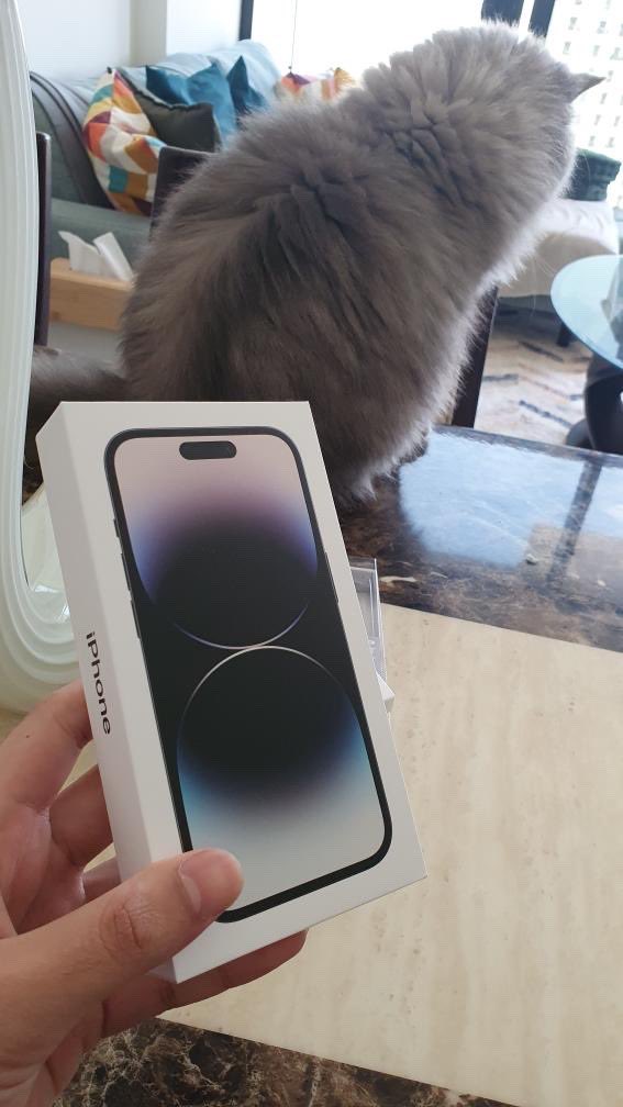 whoisthisreeves's tweet photo. Came back to the dark side after 10 years of android 👀😬 https://t.co/pWmtXtra9g