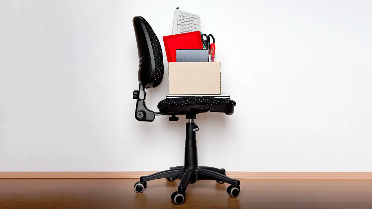 Lunaria Solutions tweet media