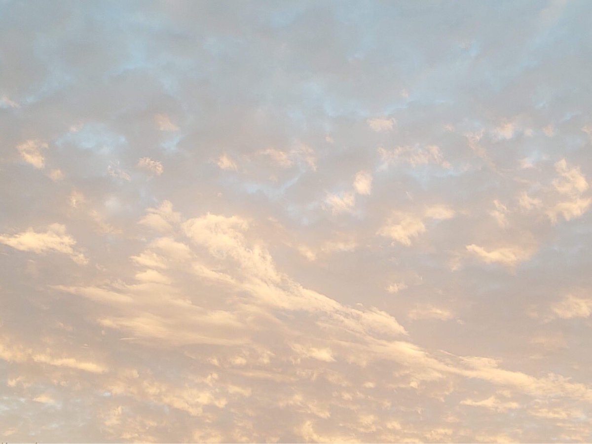 AshleyReneeWx's tweet image. Nice morning view in #RulevilleMS 😍 #viewerphoto #mswx #mississippidelta