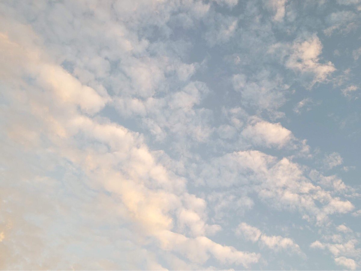 AshleyReneeWx's tweet image. Nice morning view in #RulevilleMS 😍 #viewerphoto #mswx #mississippidelta