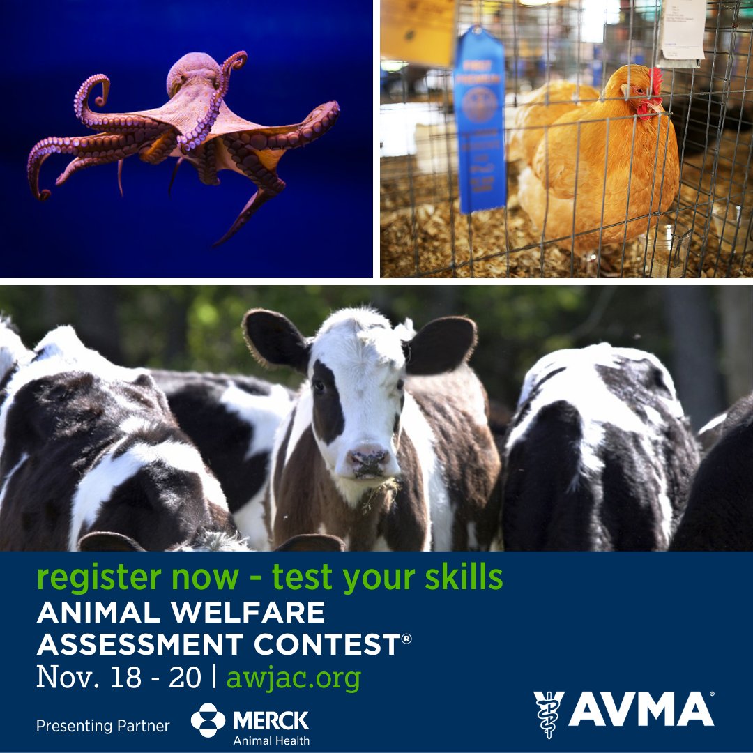 Tweet by AVMA (American Veterinary Medical Association)