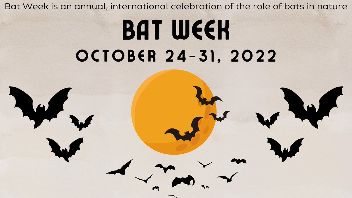 It's batweek!  batweek.org
#batweek
#baybeachwildlifesanctuary