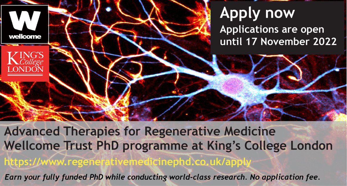 Are you looking for a #PhD in #stemcell research in a highly #interdisciplinary environment? 
We are now recruiting! Apply for the Wellcome Trust PhD programme in ‘Advanced Therapies for Regenerative Medicine’ <a href="/KCLstemcells/">CGTRM</a> <a href="/wellcometrust/">Wellcome</a>
More info⤵️
regenerativemedicinephd.co.uk/apply