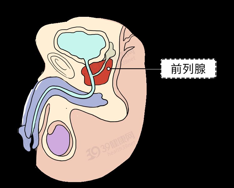longlin234567's tweet photo. 前列腺炎的症状:不能正常排尿，表现为尿频、尿急、尿痛、尿不尽或排尿困难，有时在排尿终末，也伴有尿道滴白现象。慢性前列腺炎的疼痛并不仅局限在尿道和会阴，还会向其附近放射，多为腰痛多见。阴茎、睾丸阴囊、小腹、大腿等地方，影响男性性功能，性冷淡、阳痿早泄、遗精、射精疼痛等性功能障碍。 https://t.co/pnRWi2Yci0