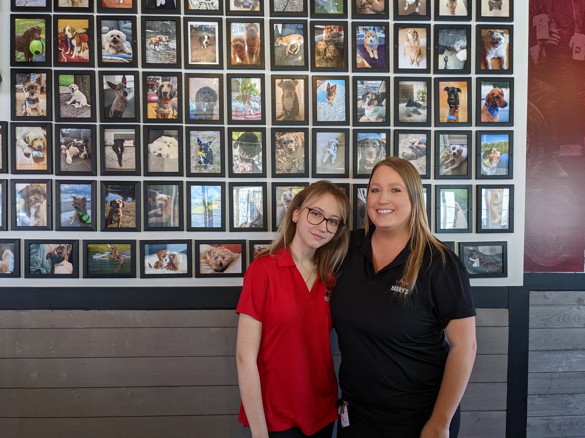 Congratulations to senior, Hannah Swenson @PhoenixCenterf1 for starting her internship at Harry's Downtown. You can catch our newest @scpswbl intern working at Harry's most afternoons. #elevatestafford #scpswbl