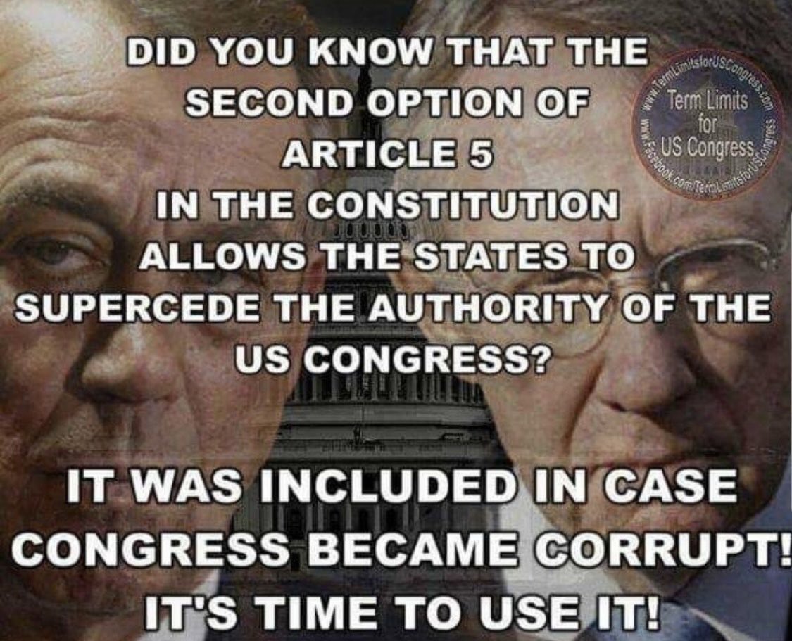 Stand up against the criminal syndicate that is Washington and Capital Hill. Fight for your rights and lives before they destroy it all. 👊🏻🇺🇸⚔️🏴‍☠️