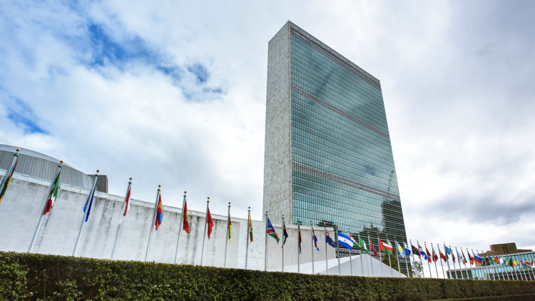 dtrebucq's tweet photo. Today marks the 77th anniversary of the moment that began our mission - peace, development and security for all.
As we celebrate, we renew our solidarity and support to our member states and Caribbean family towards #TheGoals.
Happy United Nations Day!🇺🇳 https://t.co/StjZS84uDr