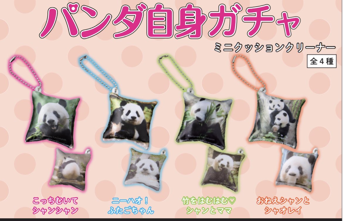 パンダ自身 pandajisin on X: パンダ自身 pandajisin on X: