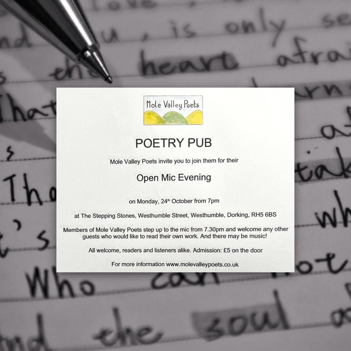 Stepping Stones Country Pub tweet media