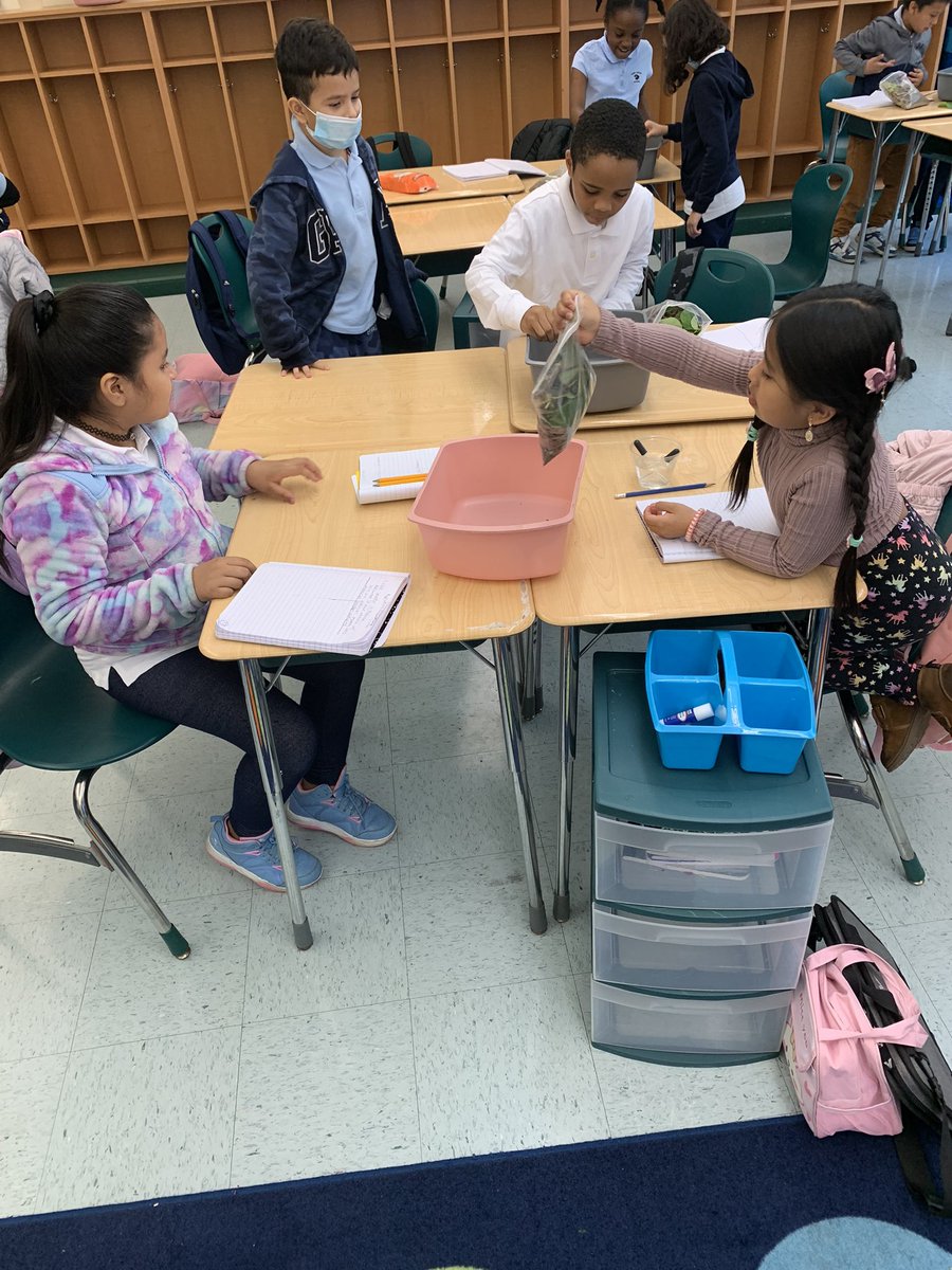 JCurran_PAES's tweet photo. Round 2! Third grade scientists are testing the effects of rain on the natural materials they collected! #parkavestrong #goodtogreat @PAES231 @Principal_MH @UrbanEducator81 @Gerald_Fitzhugh https://t.co/TSnzB8LX9e