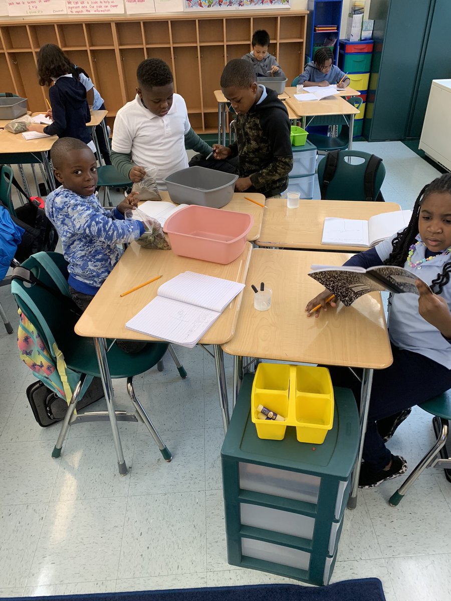 JCurran_PAES's tweet photo. Round 2! Third grade scientists are testing the effects of rain on the natural materials they collected! #parkavestrong #goodtogreat @PAES231 @Principal_MH @UrbanEducator81 @Gerald_Fitzhugh https://t.co/TSnzB8LX9e