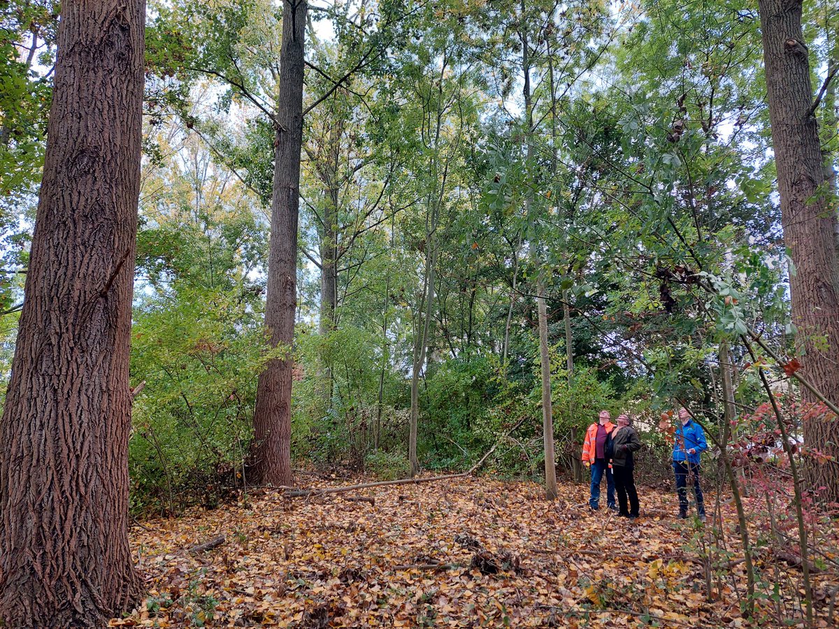 ecoloog079 tweet media