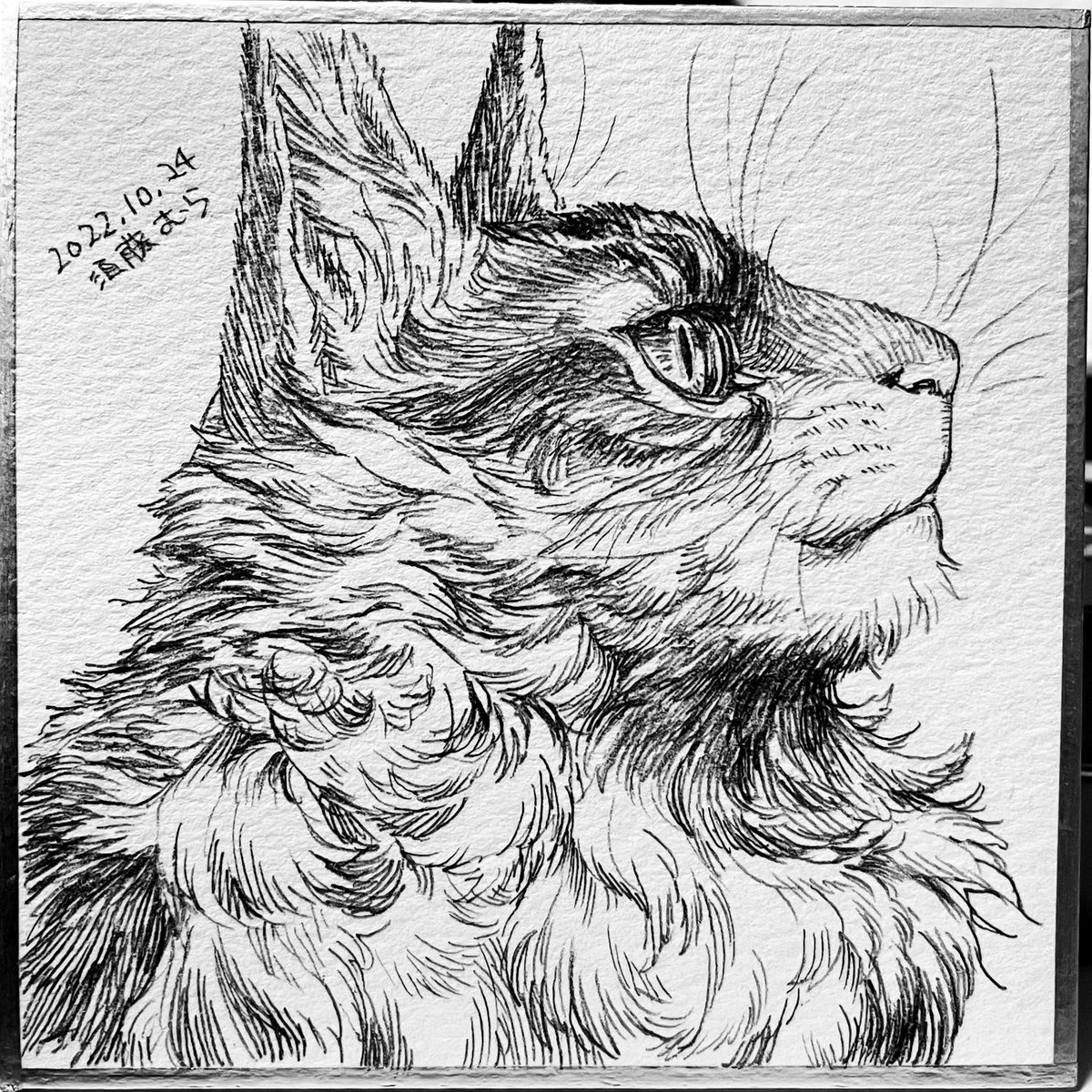 ミニミニ色紙ひとつ描いた 