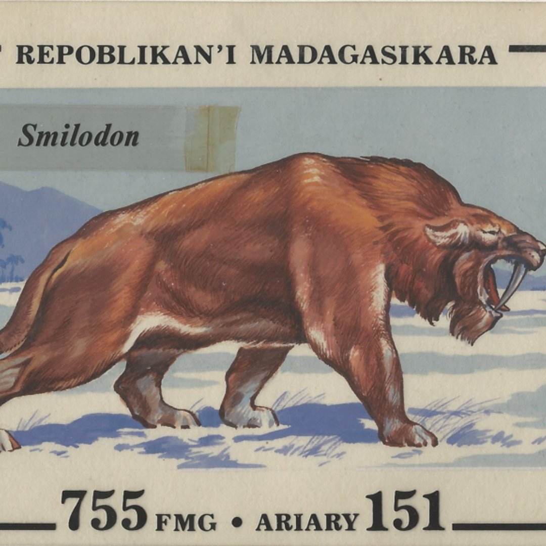 pfsastamps's tweet photo. Visit the Cape Town International Stamp Exhibition.
8-12 November, 2022 at CTICC2

The show will have something for everyone, such as the 'Old King of the Serengeti' exhibition by Mr. Putranto Tono Dwi, from Indonesia.

visit https://t.co/PmiRYkxqot for more info. https://t.co/rVibOXBUTI