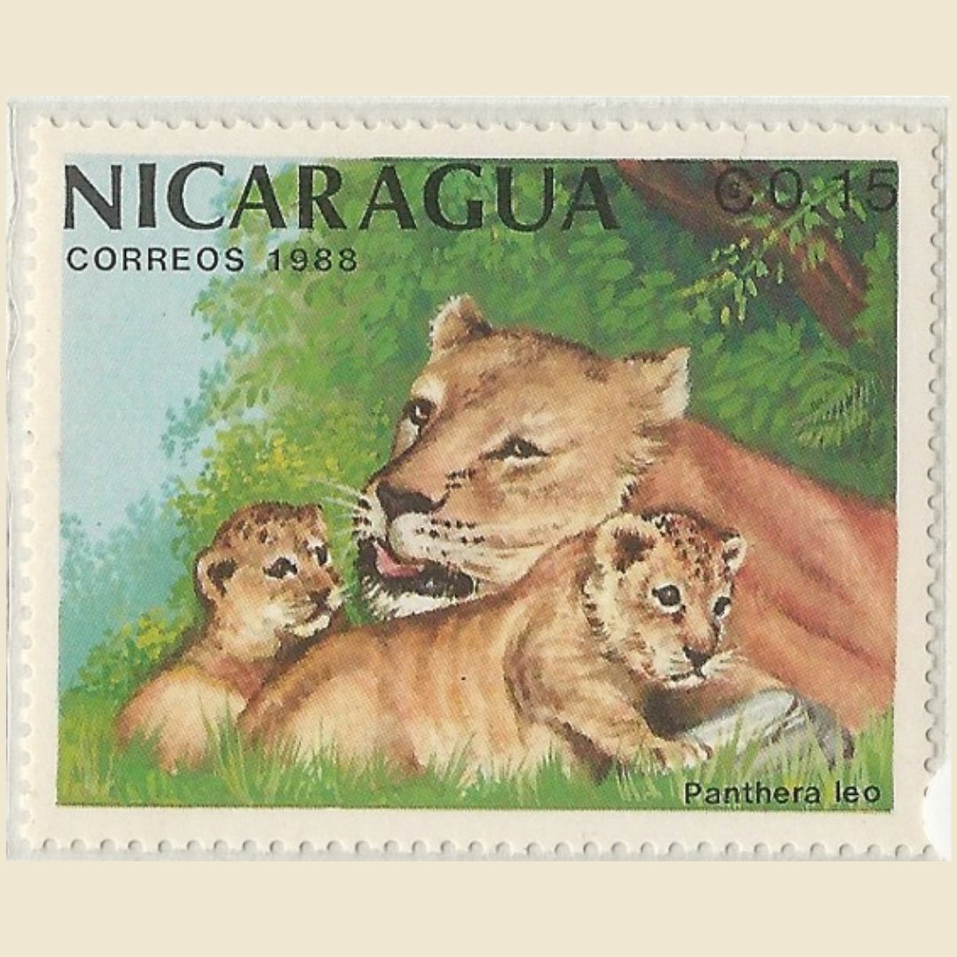 pfsastamps's tweet photo. Visit the Cape Town International Stamp Exhibition.
8-12 November, 2022 at CTICC2

The show will have something for everyone, such as the 'Old King of the Serengeti' exhibition by Mr. Putranto Tono Dwi, from Indonesia.

visit https://t.co/PmiRYkxqot for more info. https://t.co/rVibOXBUTI
