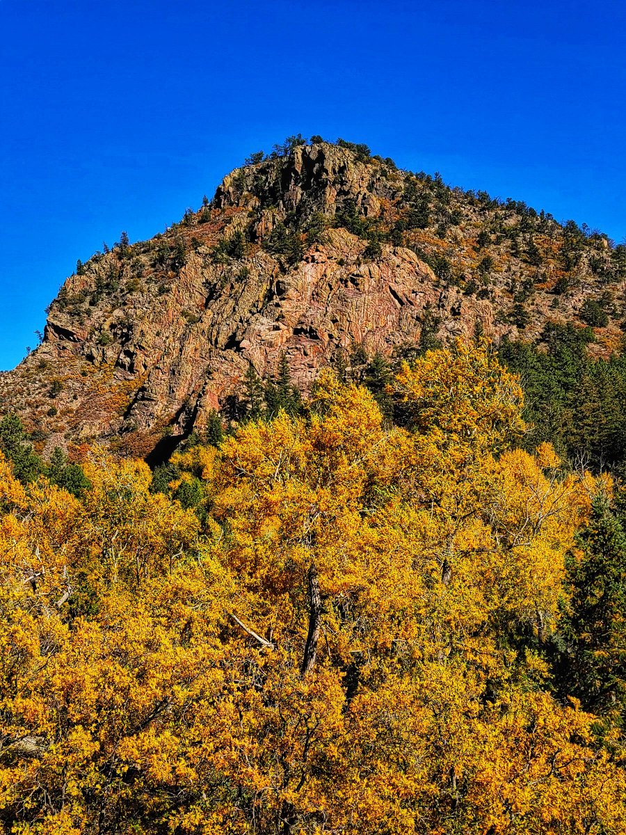 wander4insp's tweet photo. A bike trip through Phantom Canyon.
In the 1890s, a now bygone narrow gauge railroad, the Florence & Cripple Creek ran through this canyon connecting ore mills in Florence, Colorado to a booming Cripple Creek & Victor Mining District.
#PhantomCanyon #BikeColorado #FallFolliage https://t.co/zreFg7Cpoc